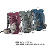D42042-5433 [アドベンチャーライト18 ブラックベリー×シルバー]