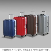 57cm シルバー SUPERLIGHTS NS