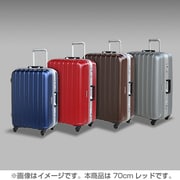 70cm レッド SUPERLIGHTS NS