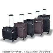 Finoxy L (フィノクシー) 旅行日数目安：1～2泊 18L TSAロック搭載 機内持ち込み可 ブラウン FINL-33
