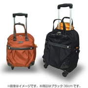 Finoxy Finino BP (フィノクシー フィニーノ) 旅行日数目安：1～2泊 16L  機内持ち込み可 ブラック FIBP-36