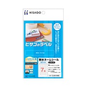 ネームシールホワイトLサイズ CJ5313NS