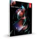 Audition CS6 製品版 [Windowsソフト 日本語]