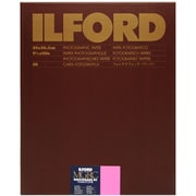 マルチグレードRCウォームトーン 1M(光沢) 24×30.5cm 50枚 MGRCWT1M95X1250