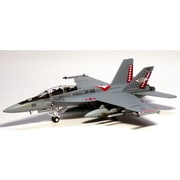 75217 [F/A-18F アメリカ海軍 VFA-102 海軍航空100周年記念塗装]