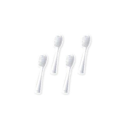 4本入 エナメルシャイントゥース 専用替ブラシ