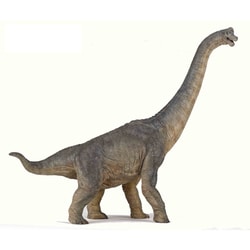 ヨドバシ.com - PAPO パポ 55030 DIOSAURS ブラキオサウルス
