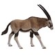 50139 WILD ANIMALS アンテロープオリックス