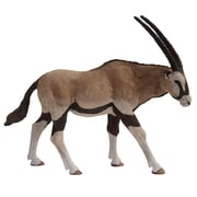 50139 WILD ANIMALS アンテロープオリックス