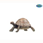 50013 WILD ANIMALS カメ