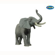 50041 WILD ANIMALS 叫ぶゾウ
