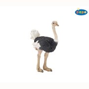 50073 WILD ANIMALS ダチョウ