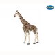 50096 WILD ANIMALS キリンB