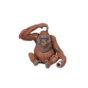 50120 WILD ANIMALS オランウータン