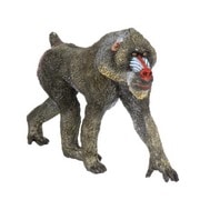 50121 WILD ANIMALS マンドリル