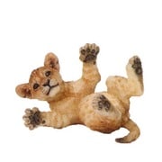 50125 WILD ANIMALS ライオンのこども（仰）
