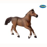 51075 EQUIDAE アングローアラブ雌馬