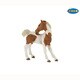 51096 EQUIDAE ピント仔馬