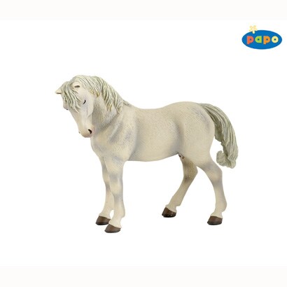 51098 EQUIDAE リピッツァーナ雌馬