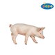 51137 FARM ANIMALS こぶたの雄