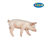 51137 FARM ANIMALS こぶたの雄