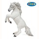 51521 EQUIDAE 蹴り立つ馬 白