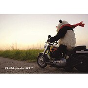 パンダマニア ポストカード 夕焼けライダー PO-52