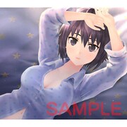フォトカノキャラクターソング vol.8 実原氷里