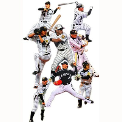 阪神タイガース2012