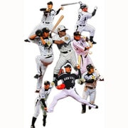 阪神タイガース2012