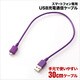 スマートフォン専用USB充電通信ケーブル 30cm RBHE047