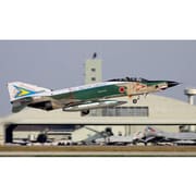 航空自衛隊 RF-4E 第501飛行隊（百里・50周年） [1/144 技MIX航空機シリーズ]
