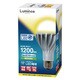 LED電球 E26口金 電球色 1200lm LDA16L-H