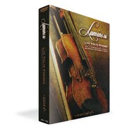 LUMINOSO LIVE VIOLIN PHRASES ZG182