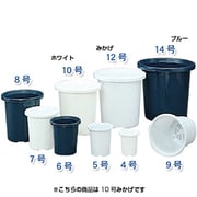 10号 MIKAGE ティルトケンガイ鉢