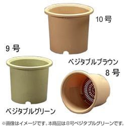 ヨドバシ Com アイリスオーヤマ Irisohyama ベジタブルポット 鉢8号 グリーン 通販 全品無料配達 ヨドバシ Com アイリスオーヤマ Irisohyama ベジタブルポット 鉢8号 グリーン 通販 全品無料配達