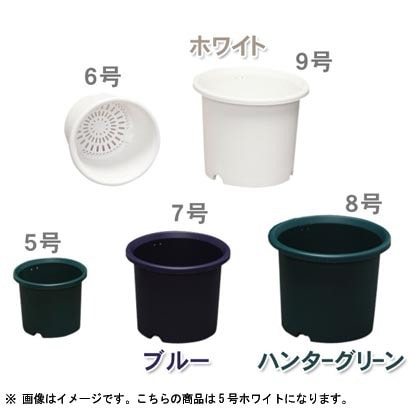5号WH ディーポット