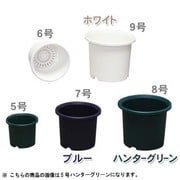 5号HAGR ディーポット