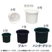 6号HAGR ディーポット