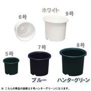8号HAGR ディーポット