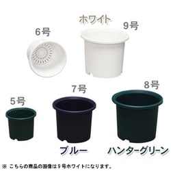 9号WH ディーポット