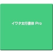 イワタ太行書体 Pro