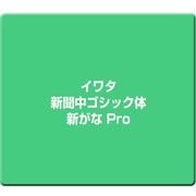 イワタ新聞中ゴシック体新がな Pro