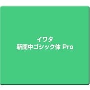 イワタ新聞中ゴシック体 Pro