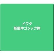 イワタ新聞中ゴシック体