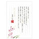 伝えるきもちB5便箋 デンファレ 5300204
