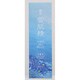 ヤクヨウセッキセイ スーパービッグボトル SAVEtheBLUE