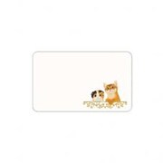 ＰＫ名刺カード　キトゥンズＡ 3054503