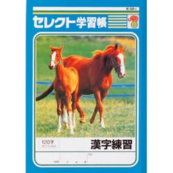 ヨドバシ Com 文運堂 K 50 3 セレクト学習帳 漢字練習 通販 全品無料配達