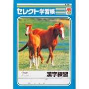 セレクト学習帳 漢字練習 K-50-3